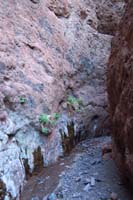 43-continuing_up_the_slot_canyon