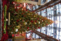 26-Bellagio_Conservatory_decorated_for_Christmas