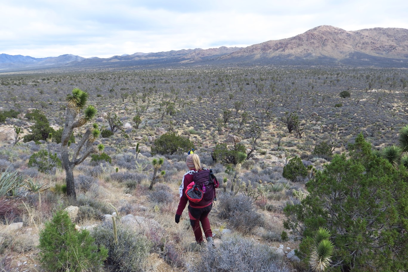 34-traversing_through_the_desert