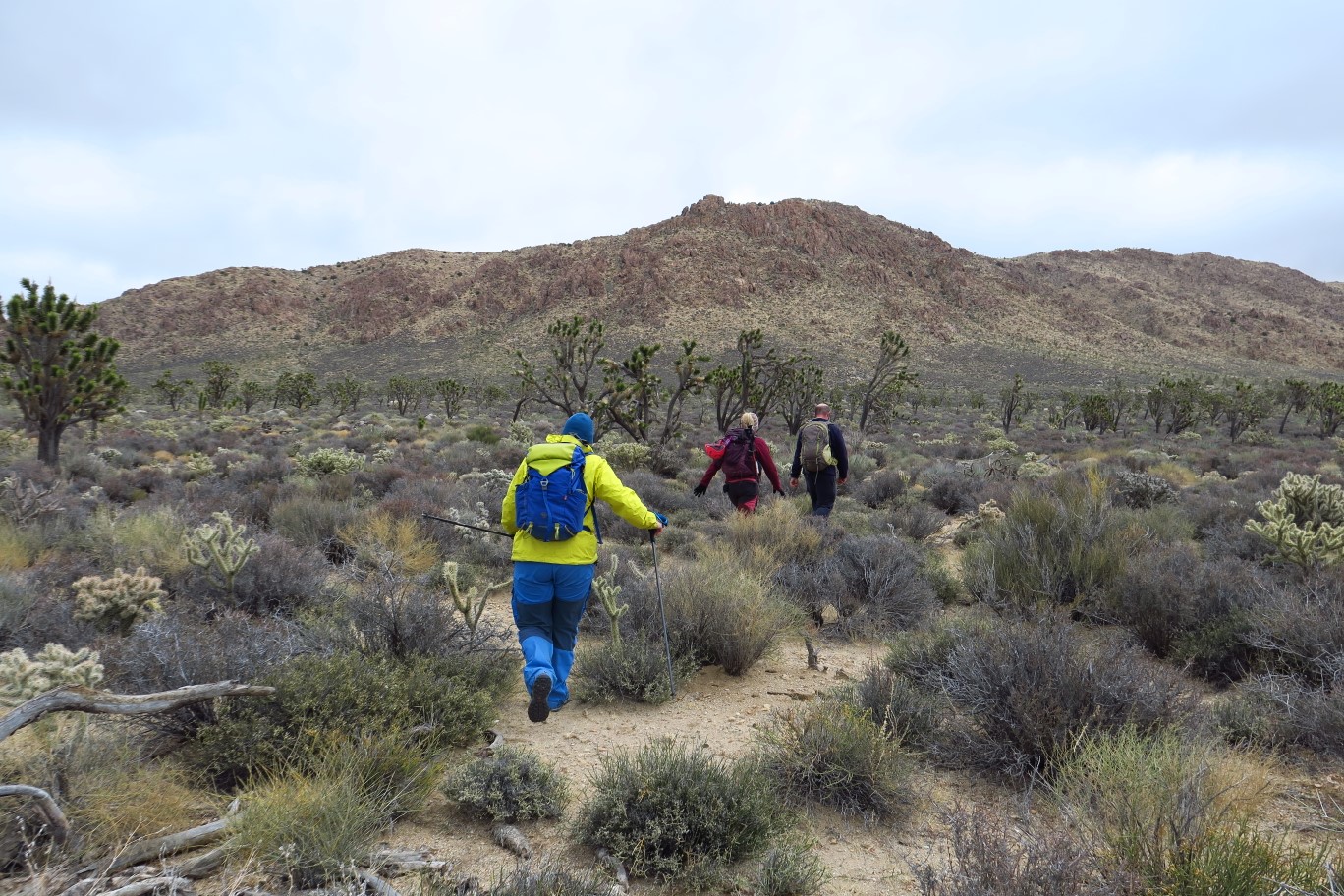 36-group_traversing_through_the_desert