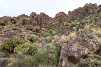 39-group_on_the_way_up_passing_through_field_of_prickly_pears