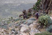 62-group_heading_down_avoiding_the_Joshua_Trees_and_prickley_pears