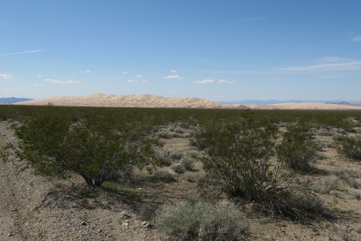 02-Kelso_Dunes_from_dirt_road