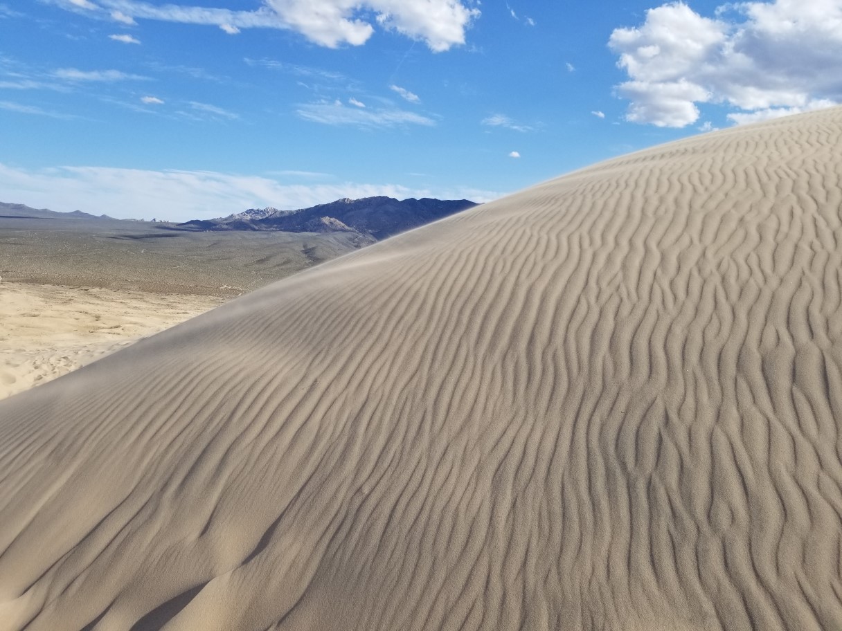 23-wind_blown_ripples_in_the_sand