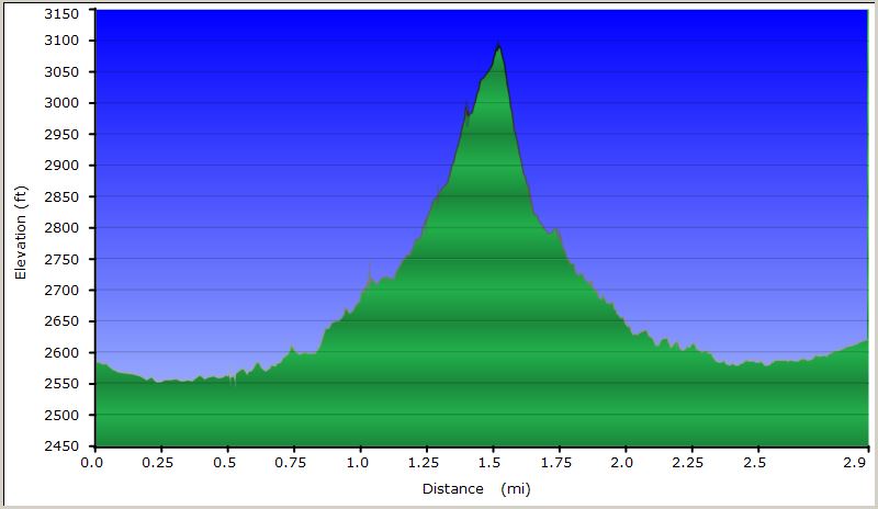 55-hike_profile