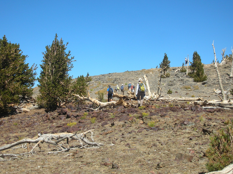 31-group_walking_to_the_peak