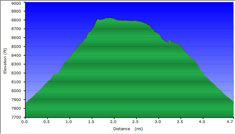 31-hike_profile