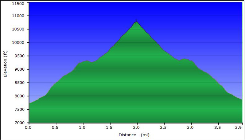 46-hike_profile