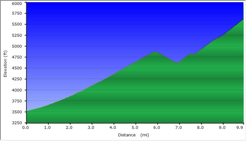 52-hike_profile-Mt_Lukas_dirt_road