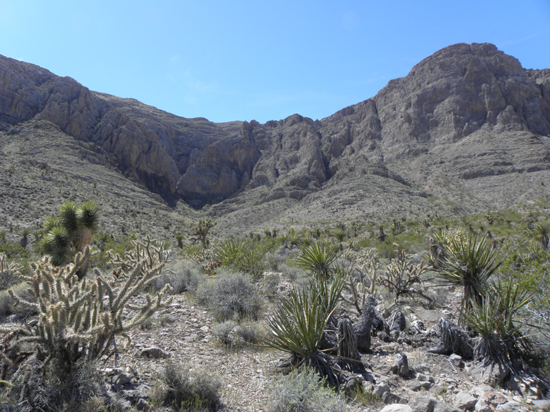 65-further_way_from_canyon_looking_back