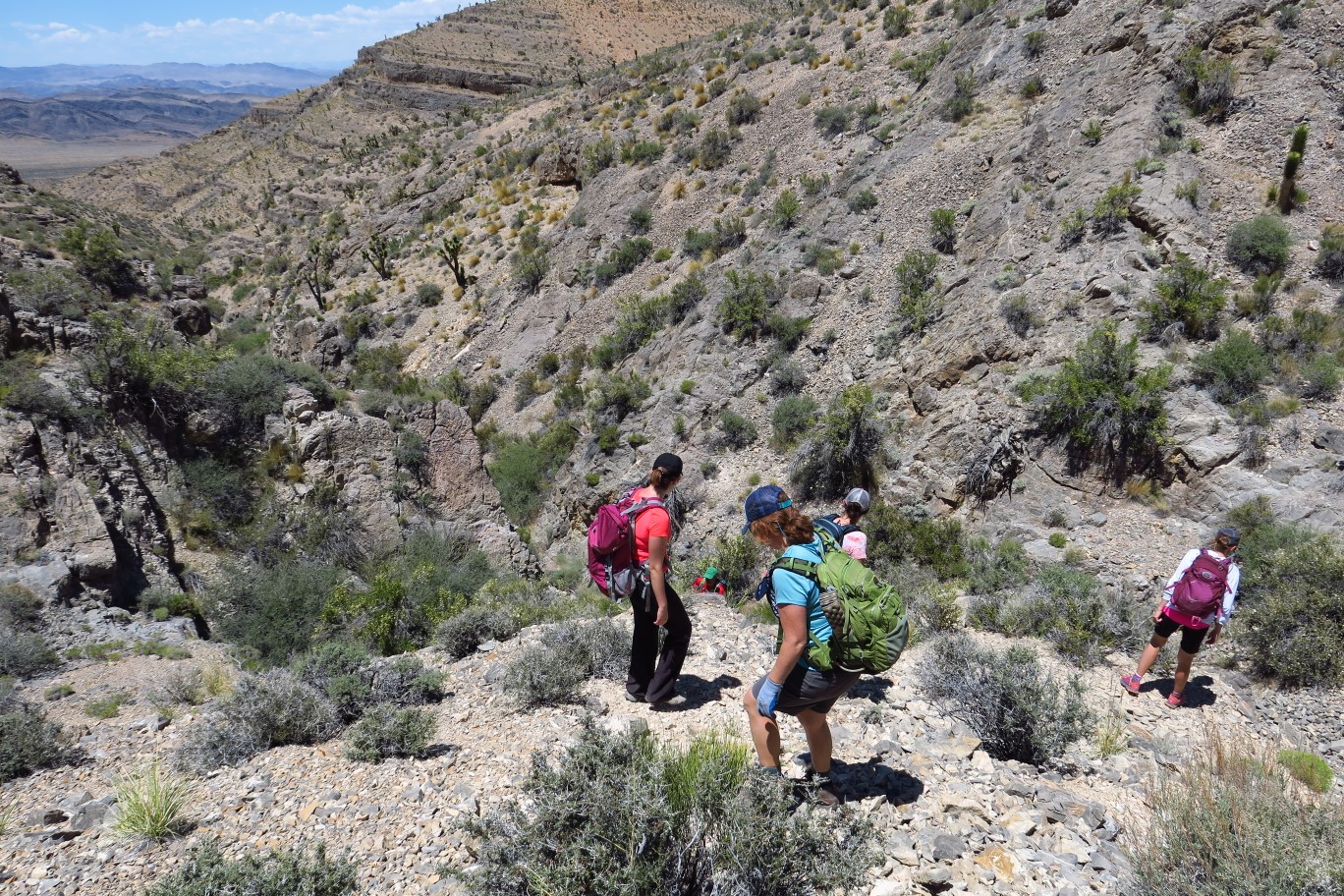 44-group_scrambling_down_a_drainage