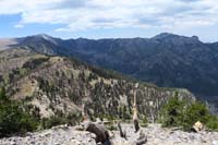 41-scenic_view_from_peak-looking_NNW-Mt_Charleston_to_Mummy