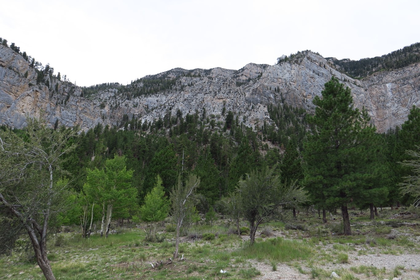 28-looking_back_at_Mary_Jane_Overlook