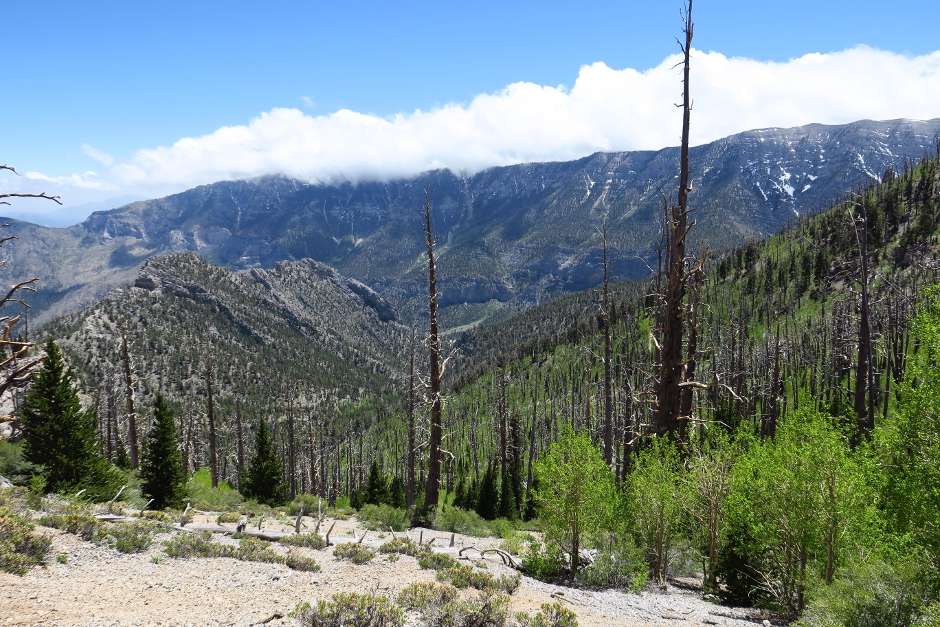 51-pretty_rolling_clouds_over_ridge