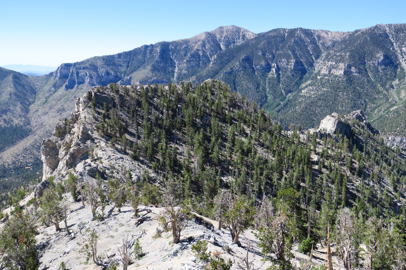 17-scenic_view_from_peak-looking_S-Cockscomb_Ridge