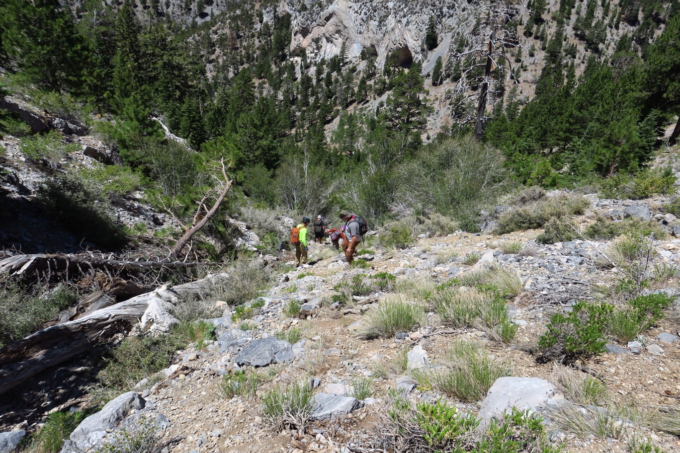 44-group_in_the_drainage_heading_down