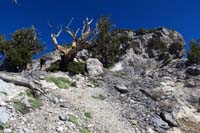 12-Joel_on_the_ridge_to_the_peak