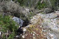 46-that_spring_continues_a_little_bit_more-about_800_ft_lower_is_Trail_Canyon_Trail