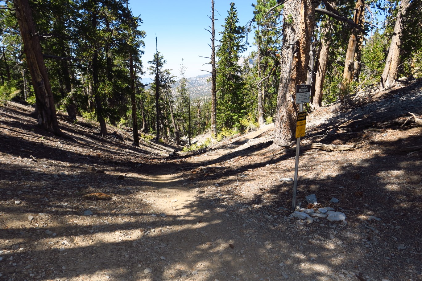 40-Bristlecone_Alt_continues_to_Bonanza_Trail-at_the_summit