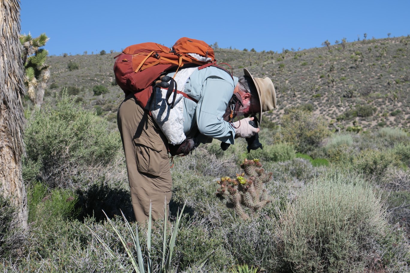 09-Jim_taking_pictures_of_cholla_flower