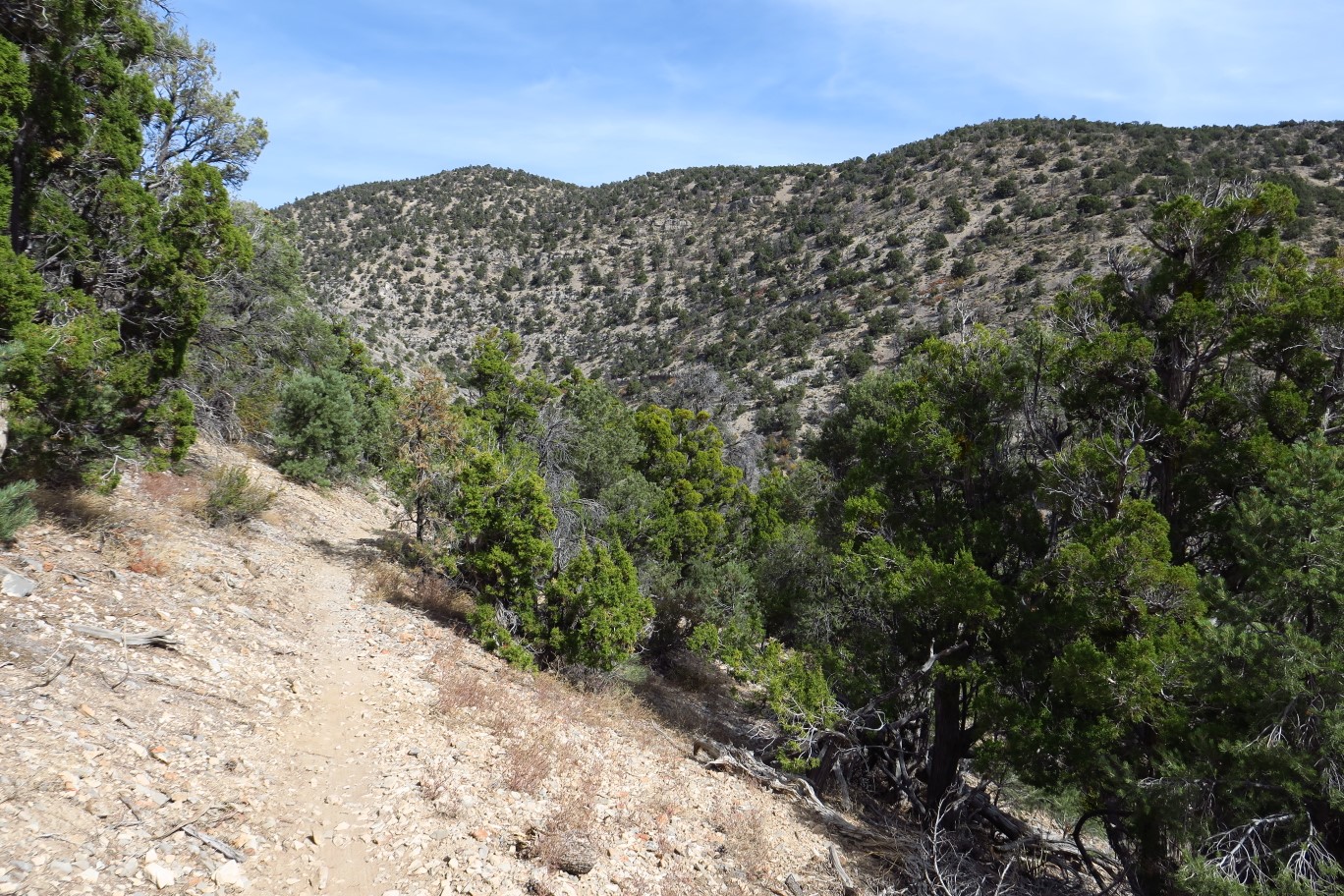 43-scenic_view_along_the_trail