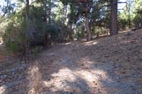 49-fenced_area_and_scenery_along_the_trail