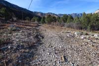 29-fairly_recent_trail_improvement_from_prior_flood-actually_off_the_trail_to_R,50'