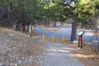 39-approaching_Acastus_Trail_C_TH-seems__end_of_trail,but_continues_through_Kyle_Canyon_Campground