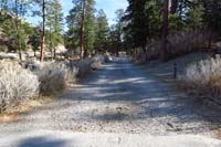 51-Acastus_Trail_W_TH-very_pleasant_hike_through_this_area_along_a_dirt_road