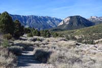 61-Escarpment_Trail_offers_very_nice_scenic_views