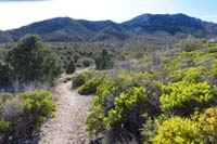 69-scenic_view_along_the_trail_looking_north
