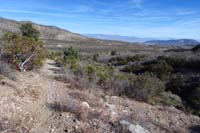 70-scenic_view_along_the_trail_looking_east