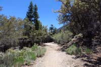 04-PixieRobberJCT,looking_south_then_left-Telephone_Cyn_Rd,straight-Tin_Can,right-Cowboy_Washington