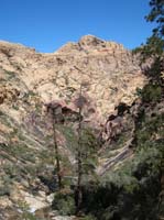 51-view_of_Bridge_Mountain_and_Terrace_Canyon_area