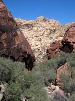 81-more_great_scenery_with_Bridge_Mountain_in_background