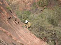 041-Bob_made_his_way_through_the_brush_to_the_opening_of_the_canyon