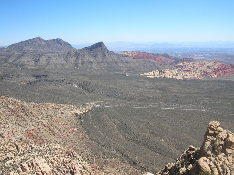 26-Damsel-Turtlehead-Calico_Basin_area