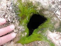 35-found_another_steam_vent-in_road-dropped_rock_and_didn't_hear_impact-very_deep