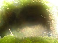 36-I_wish_I_brought_my_flashlight_to_peer_into_the_hole_better-warm_moist_air_fogged_camera_lens