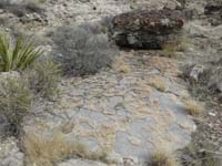 49-apparently_the_same_rock_that_has_been_weathered_away_leaving_only_seemingly_imprints