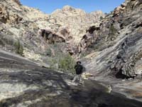 52-me_with_views_down_Terrace_Canyon-Bridge_Mt_in_background