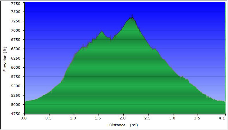 53-hike_profile