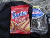 45-fresh_snacks_surprisingly_not_eaten_by_animals-found_lots_of_Mexican_beer_cans
