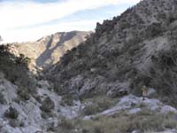 48-finally_reached_fork_in_wash_leading_to_Rocky_Gap_Rd-lots_of_water_and_grass-great_area_to_grow_drugs