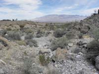 45-two_miles_to_hike_back_to_vehicle-pretty_scenery_with_Sheep_Mountains_in_background