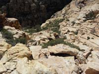 52-back_where_trail_diverges-we_now_head_down_a_different_way-later_took_wrong_exploratory_turn