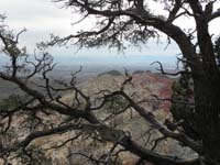 30-neat_tree_providing_border_view_with_Gray_Cap_and_Las_Vegas_Strip_in_distance