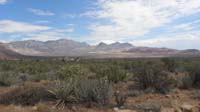 50-scenic_view_from_trail_looking_at_Calico_Hills_and_La_Madre_Mountains