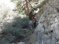 53-heading_down_through_the_forested_area-mostly_stick_to_the_right_going_down