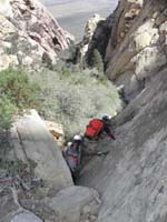 54-significant_forested_area_protected_in_this_canyon-very_steep
